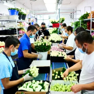 ## *Online Flower Gourmet Gifting Business for Sale – Fully Equipped | Licensed | 10 Years Old*